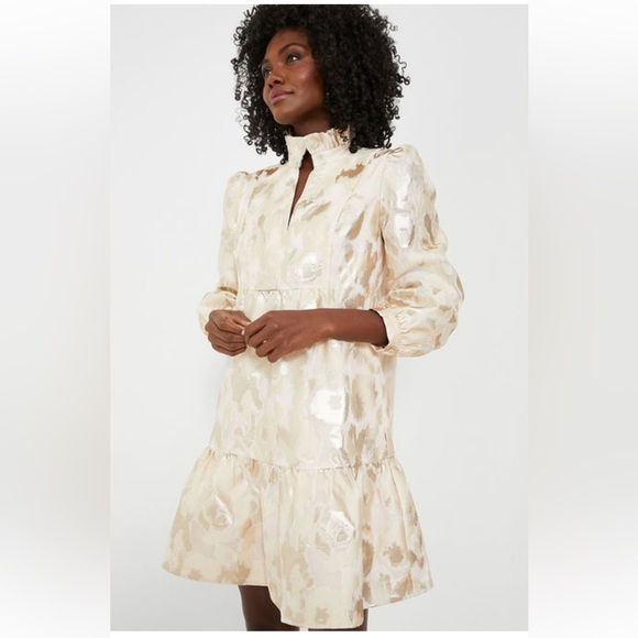 Tuckernuck Palmerston Dress M NWT Champagne Fil Coupe Puff Sleeve Ruffle Hem - Picture 2 of 11